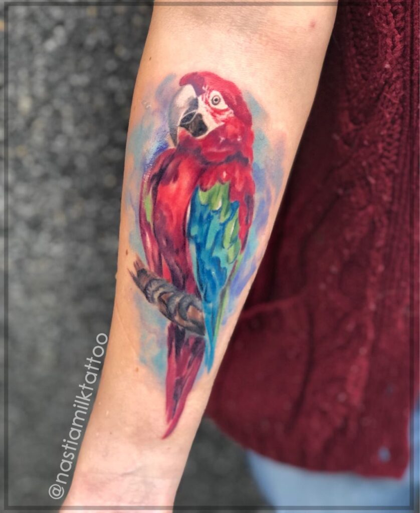 Papuga - kolorowy tatuaż